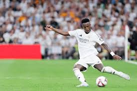 各地的足球 各地的足球